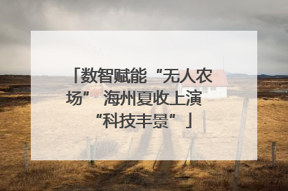 数智赋能“无人农场” 海州夏收上演“科技丰景”