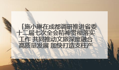 施小琳在成都调研推进省委十二届七次全会精神贯彻落实工作 共同推动文旅深度融合高质量发展 加快打造支柱产业民生产业幸福产业