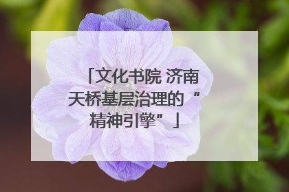 文化书院 济南天桥基层治理的“精神引擎”
