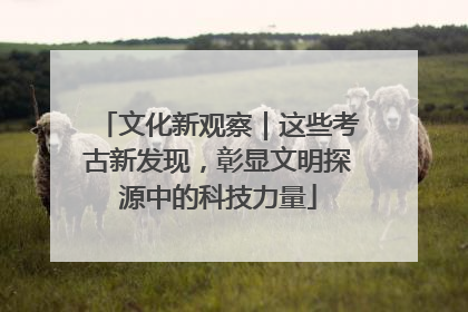 文化新观察｜这些考古新发现，彰显文明探源中的科技力量