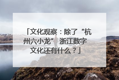 文化观察：除了“杭州六小龙” 浙江数字文化还有什么？