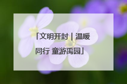 文明开封｜温暖同行 童游禹园