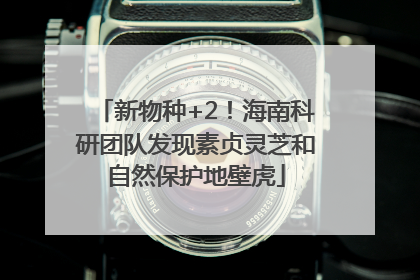 新物种+2！海南科研团队发现素贞灵芝和自然保护地壁虎