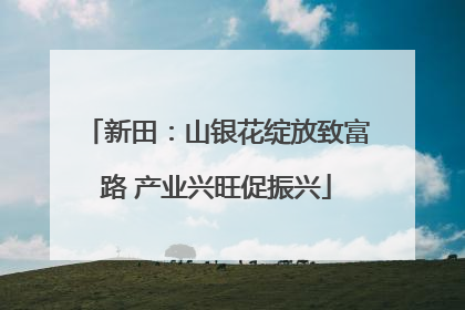 新田：山银花绽放致富路 产业兴旺促振兴