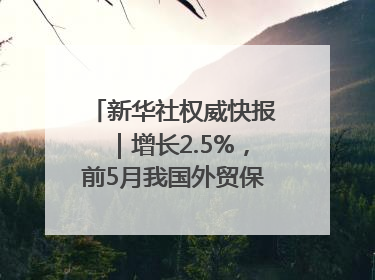 新华社权威快报｜增长2.5%，前5月我国外贸保持较强韧性