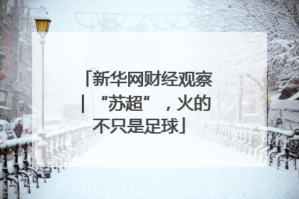 新华网财经观察｜“苏超”，火的不只是足球