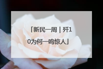 新民一周｜歼10为何一鸣惊人