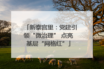 新泰宫里：党建引领“微治理” 点亮基层“网格红”