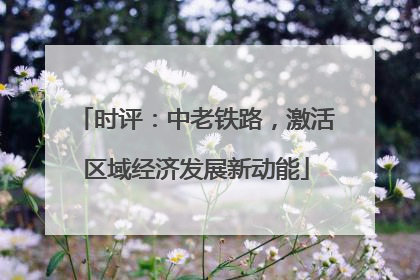 时评：中老铁路，激活区域经济发展新动能