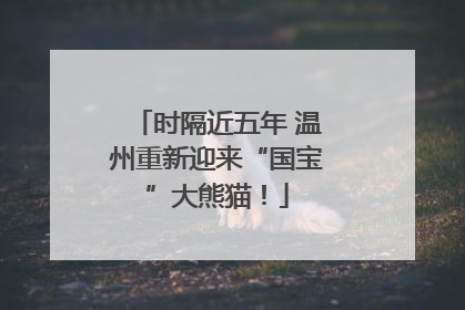 时隔近五年 温州重新迎来“国宝”大熊猫！