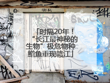 时隔20年！“长江最神秘的生物”极危物种鳤鱼重现赣江