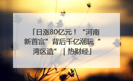 日涨80亿元！“河南新首富”背后千亿潮玩“湾区造”｜热财经