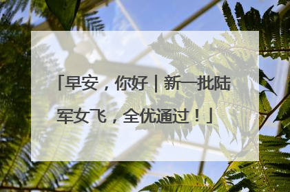 早安，你好｜新一批陆军女飞，全优通过！