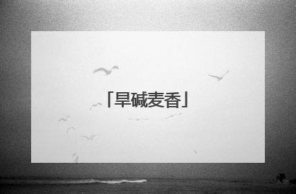 旱碱麦香