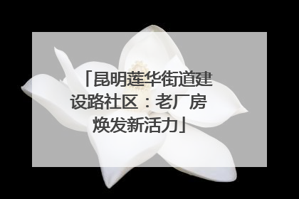 昆明莲华街道建设路社区：老厂房焕发新活力