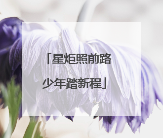 星炬照前路 少年踏新程