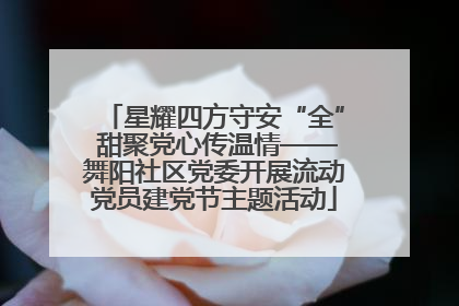 星耀四方守安“全” 甜聚党心传温情——舞阳社区党委开展流动党员建党节主题活动