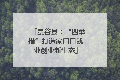 景谷县：“四举措”打造家门口就业创业新生态