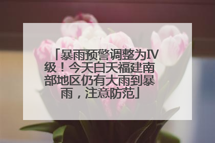 暴雨预警调整为Ⅳ级！今天白天福建南部地区仍有大雨到暴雨，注意防范
