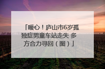 暖心！庐山市6岁孤独症男童车站走失 多方合力寻回（图）