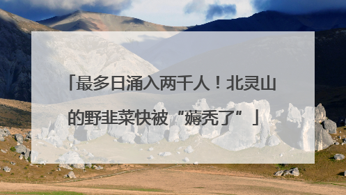 最多日涌入两千人！北灵山的野韭菜快被“薅秃了”