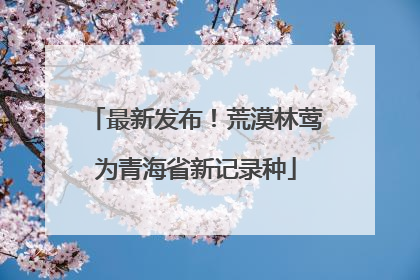 最新发布！荒漠林莺为青海省新记录种