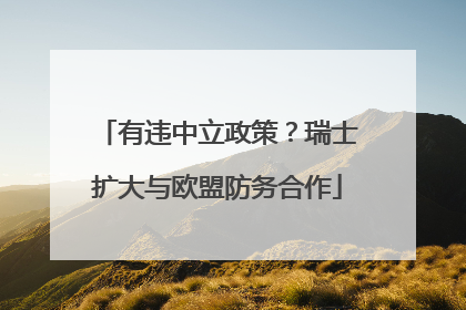 有违中立政策？瑞士扩大与欧盟防务合作