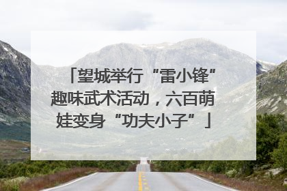 望城举行“雷小锋”趣味武术活动，六百萌娃变身“功夫小子”