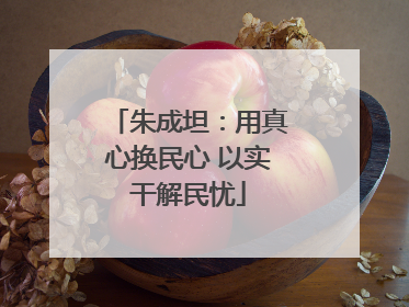 朱成坦：用真心换民心 以实干解民忧