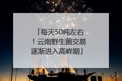 每天50吨左右！云南野生菌交易逐渐进入高峰期
