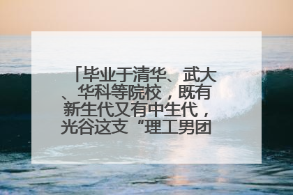 毕业于清华、武大、华科等院校，既有新生代又有中生代，光谷这支“理工男团”为何“出道”？