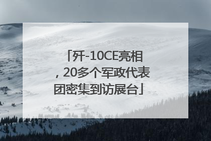 歼-10CE亮相，20多个军政代表团密集到访展台