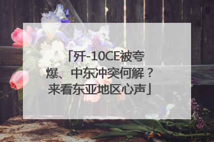 歼-10CE被夸爆、中东冲突何解？来看东亚地区心声