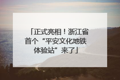 正式亮相！浙江省首个“平安文化地铁体验站”来了