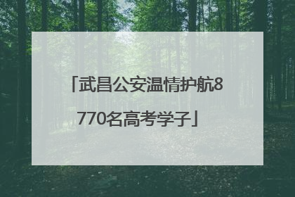 武昌公安温情护航8770名高考学子