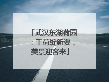 武汉东湖荷园：千荷绽新姿，美景迎客来
