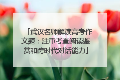 武汉名师解读高考作文题：注重考查阅读鉴赏和跨时代对话能力
