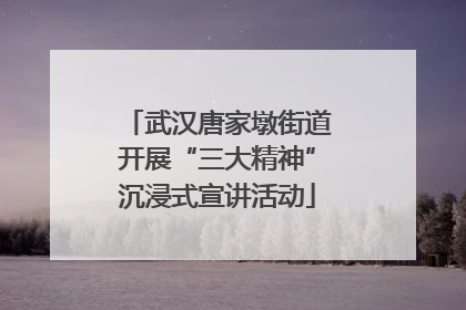 武汉唐家墩街道开展“三大精神”沉浸式宣讲活动