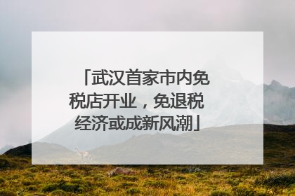 武汉首家市内免税店开业，免退税经济或成新风潮