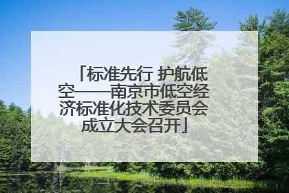 标准先行 护航低空——南京市低空经济标准化技术委员会成立大会召开