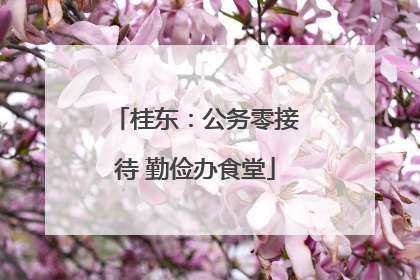 桂东：公务零接待 勤俭办食堂