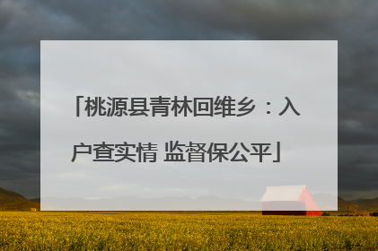 桃源县青林回维乡：入户查实情 监督保公平
