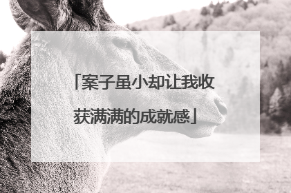 案子虽小却让我收获满满的成就感