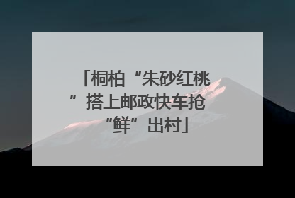 桐柏“朱砂红桃”搭上邮政快车抢“鲜”出村