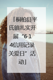 桐柏县平氏镇扎实开展“6·14信用记录关爱日”活动