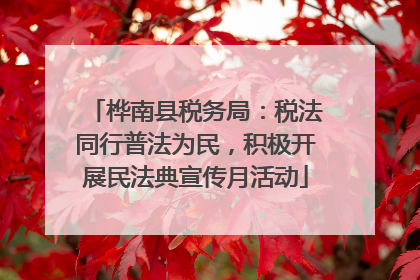 桦南县税务局：税法同行普法为民，积极开展民法典宣传月活动