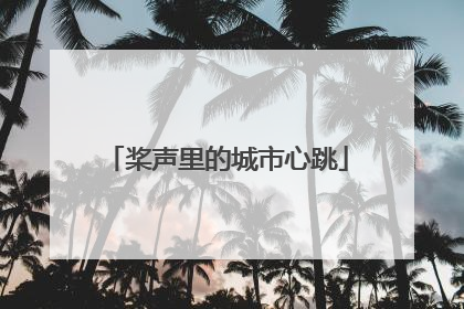 桨声里的城市心跳