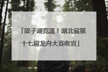 梁子湖竞渡！湖北省第十七届龙舟大赛收官