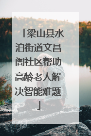 梁山县水泊街道文昌阁社区帮助高龄老人解决智能难题