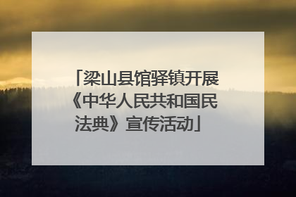 梁山县馆驿镇开展《中华人民共和国民法典》宣传活动
